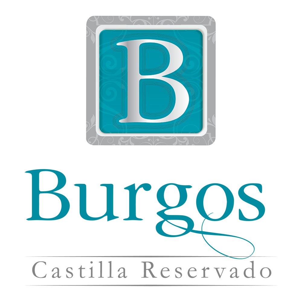 CONJUNTO RESIDENCIAL BURGOS CASTILLA RESERVADO - PROPIEDAD HORIZONTAL